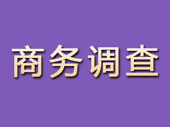 黄平商务调查